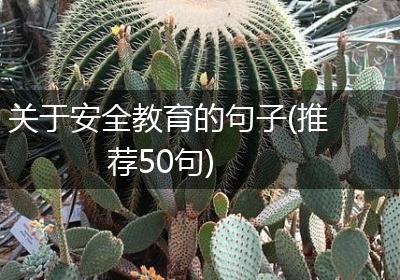 关于安全教育的句子(推荐50句)