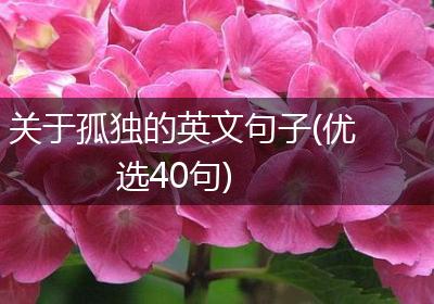 关于孤独的英文句子(优选40句)