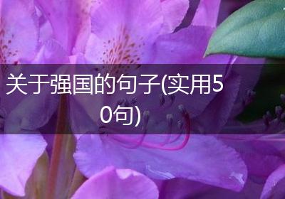 关于强国的句子(实用50句)