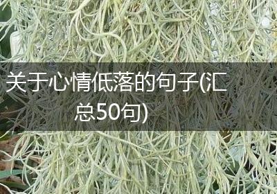 关于心情低落的句子(汇总50句)