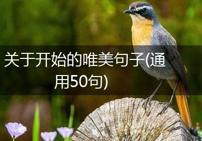 关于开始的唯美句子(通用50句)