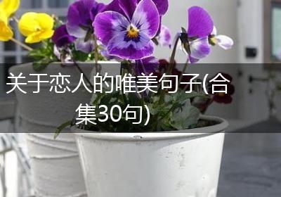 关于恋人的唯美句子(合集30句)