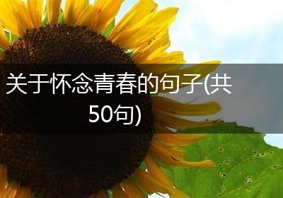 关于怀念青春的句子(共50句)