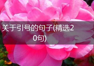 关于引号的句子(精选20句)
