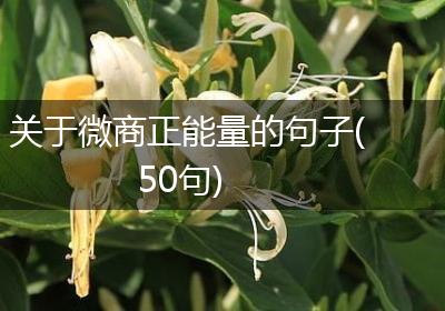 关于微商正能量的句子(50句)