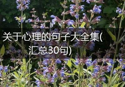 关于心理的句子大全集(汇总30句)