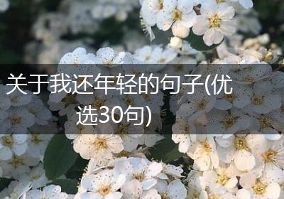 关于我还年轻的句子(优选30句)