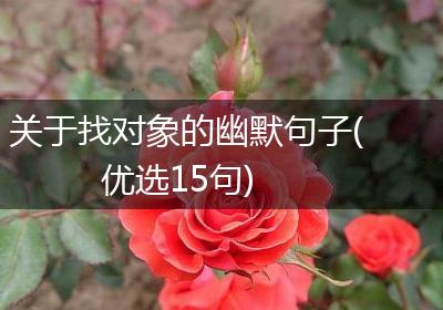 关于找对象的幽默句子(优选15句)