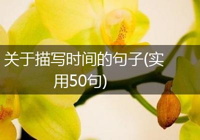 关于描写时间的句子(实用50句)