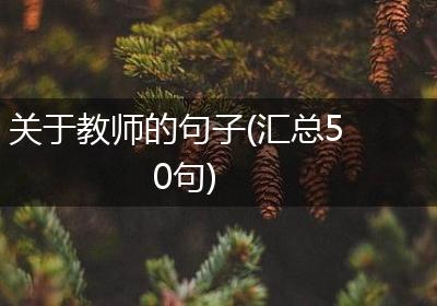关于教师的句子(汇总50句)