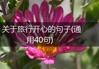 关于旅行开心的句子(通用40句)