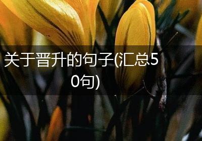 关于晋升的句子(汇总50句)
