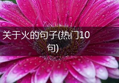 关于火的句子(热门10句)