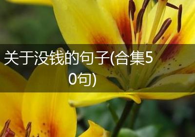 关于没钱的句子(合集50句)