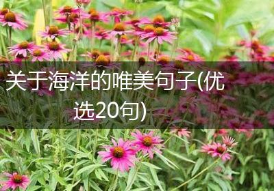 关于海洋的唯美句子(优选20句)