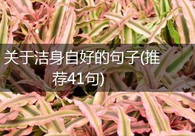 关于洁身自好的句子(推荐41句)