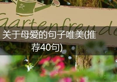 关于母爱的句子唯美(推荐40句)