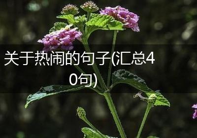 关于热闹的句子(汇总40句)