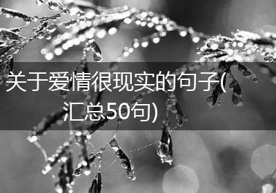 关于爱情很现实的句子(汇总50句)