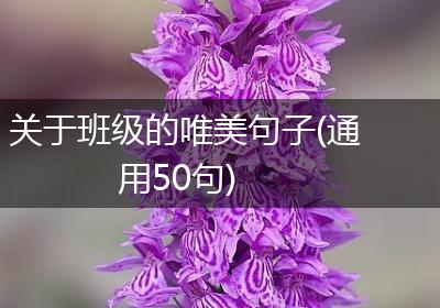 关于班级的唯美句子(通用50句)