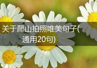 关于爬山拍照唯美句子(通用20句)