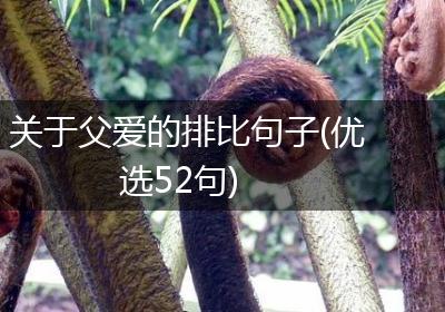 关于父爱的排比句子(优选52句)