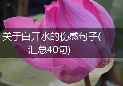 关于白开水的伤感句子(汇总40句)