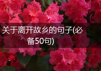 关于离开故乡的句子(必备50句)