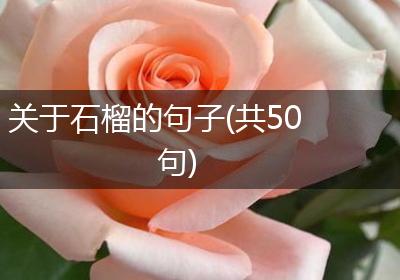 关于石榴的句子(共50句)