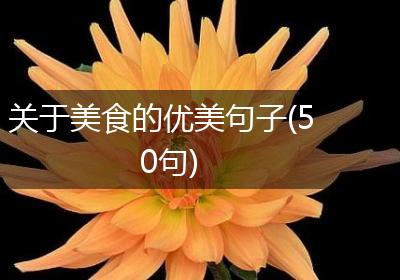 关于美食的优美句子(50句)