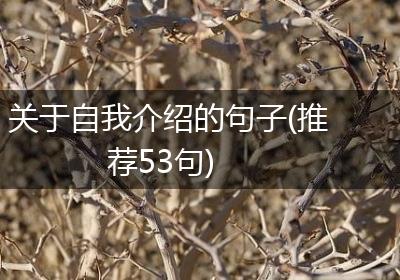 关于自我介绍的句子(推荐53句)