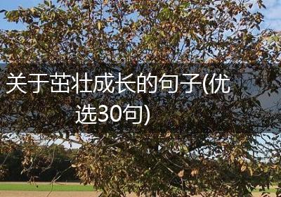 关于茁壮成长的句子(优选30句)