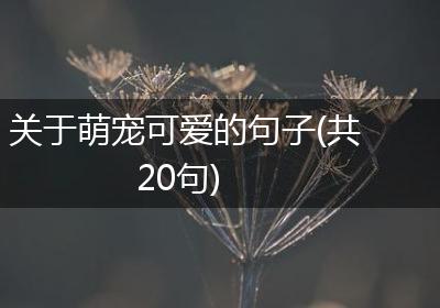 关于萌宠可爱的句子(共20句)