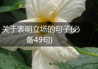 关于表明立场的句子(必备49句)