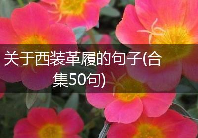 关于西装革履的句子(合集50句)