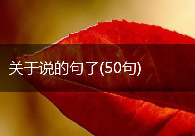 关于说的句子(50句)