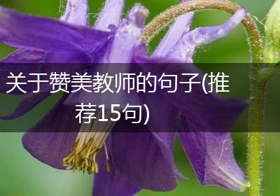 关于赞美教师的句子(推荐15句)