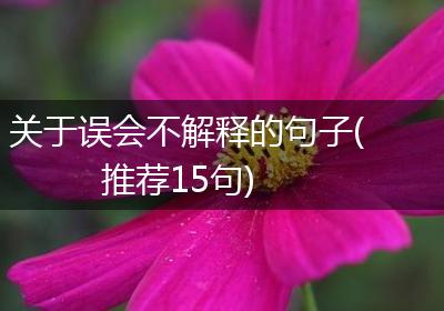 关于误会不解释的句子(推荐15句)