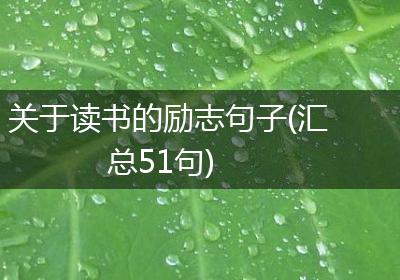 关于读书的励志句子(汇总51句)