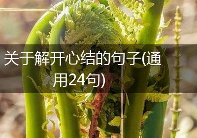 关于解开心结的句子(通用24句)