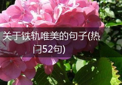 关于铁轨唯美的句子(热门52句)