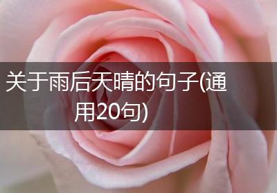 关于雨后天晴的句子(通用20句)