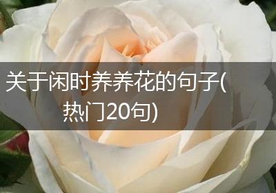 关于闲时养养花的句子(热门20句)