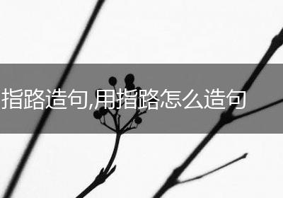 指路造句,用指路怎么造句