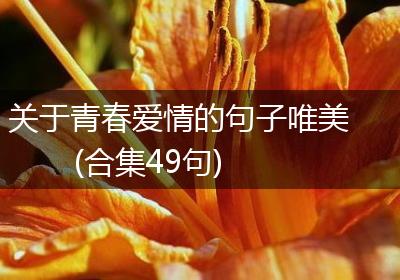 关于青春爱情的句子唯美(合集49句)