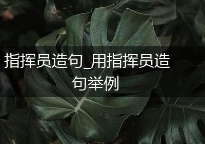指挥员造句_用指挥员造句举例