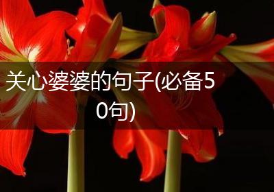 关心婆婆的句子(必备50句)