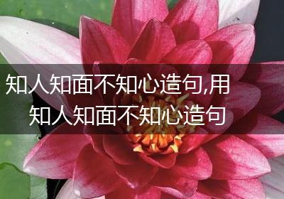 知人知面不知心造句,用知人知面不知心造句
