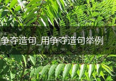 争夺造句_用争夺造句举例