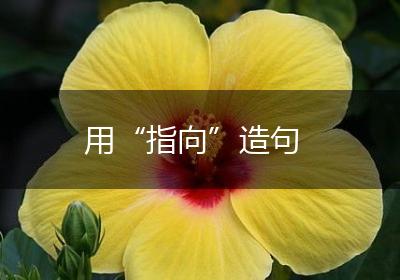 用“指向”造句